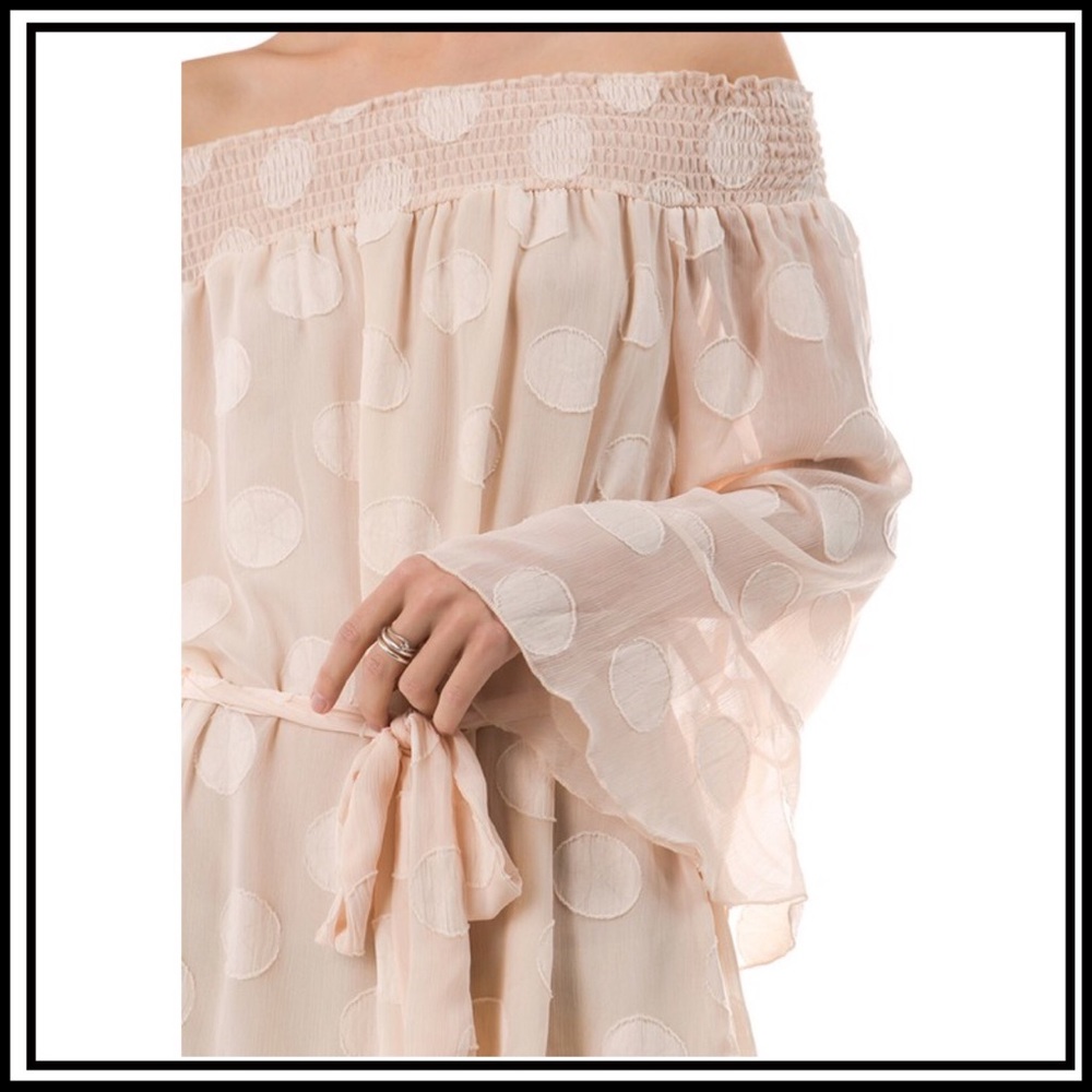 Sheer Dots Strapless Dress - Picture 2 of 4